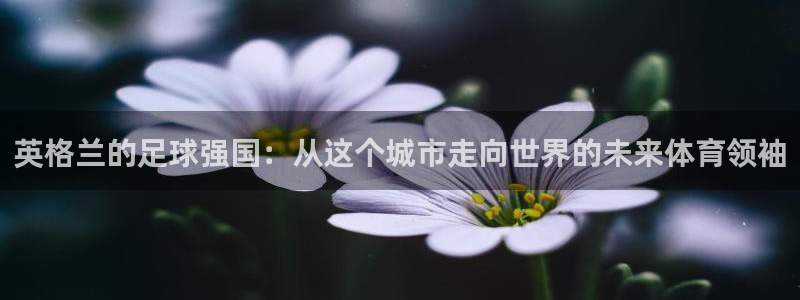 球客岛：英格兰的足球强国：从这个城市走向世界的未来体育领袖