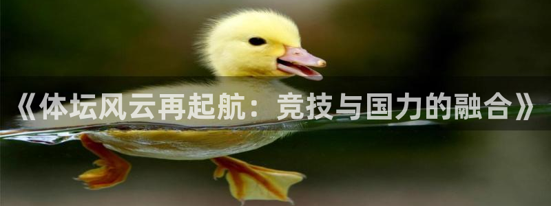 球客岛：《体坛风云再起航：竞技与国力的融合》