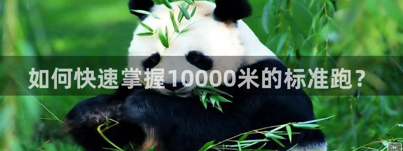 球客岛：如何快速掌握10000米的标准跑？