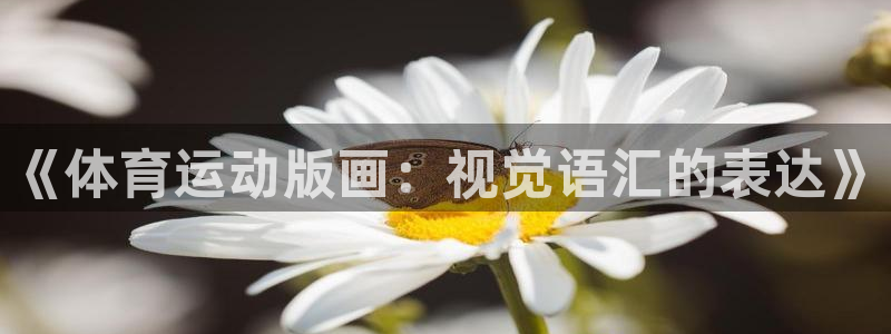 球客岛：《体育运动版画：视觉语汇的表达》