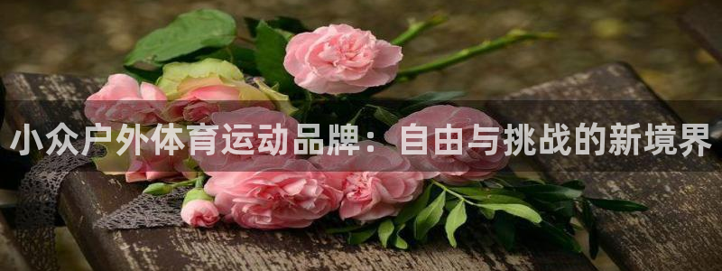 球客岛：小众户外体育运动品牌：自由与挑战的新境界