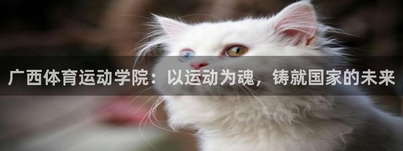 球客岛：广西体育运动学院：以运动为魂，铸就国家的未来
